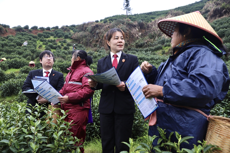 �����M�壺�շ��M(j��n)��@