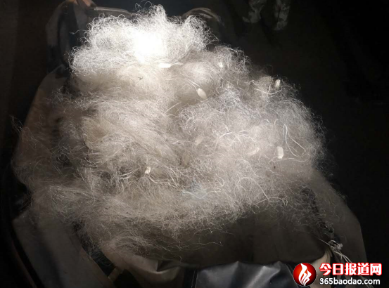黑龍江賓縣:倆男子趁夜色偷捕魚 沒(méi)等下網(wǎng)就進(jìn)了公安局31.png