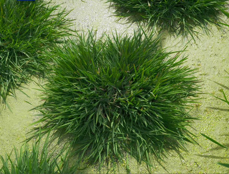 ȫ���״���Ӳ��ͻ�����������҇�(gu��)���I(l��ng)��ɹ��ܼ������¡�