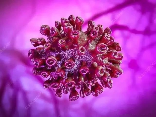 ػů¹ڲΕrʧҵf