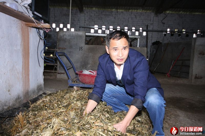 廣西恭城這位軍轉(zhuǎn)干部第一書記實(shí)干巧干“十大脫貧錦囊”助貧困村脫貧摘帽 (6).JPG
